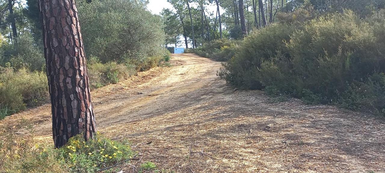 טאווירה Casa Do Pinheiro - Parque Natural Da Ria Formosa. מראה חיצוני תמונה