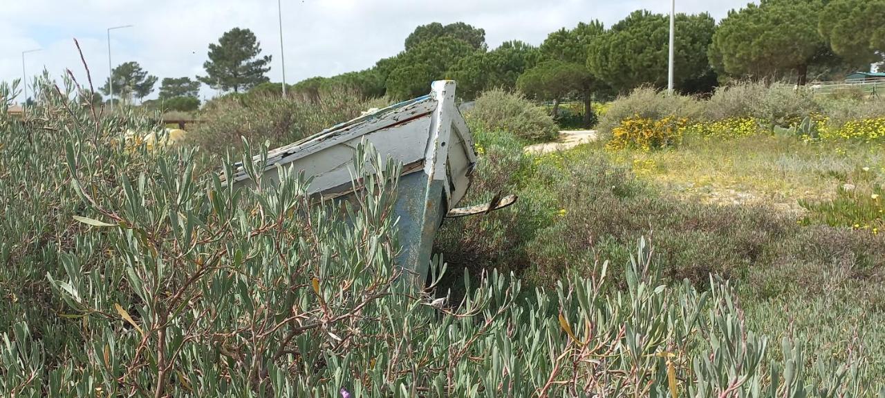 טאווירה Casa Do Pinheiro - Parque Natural Da Ria Formosa. מראה חיצוני תמונה