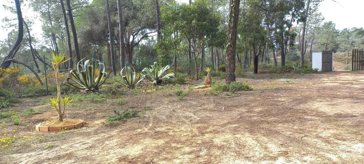 טאווירה Casa Do Pinheiro - Parque Natural Da Ria Formosa. מראה חיצוני תמונה