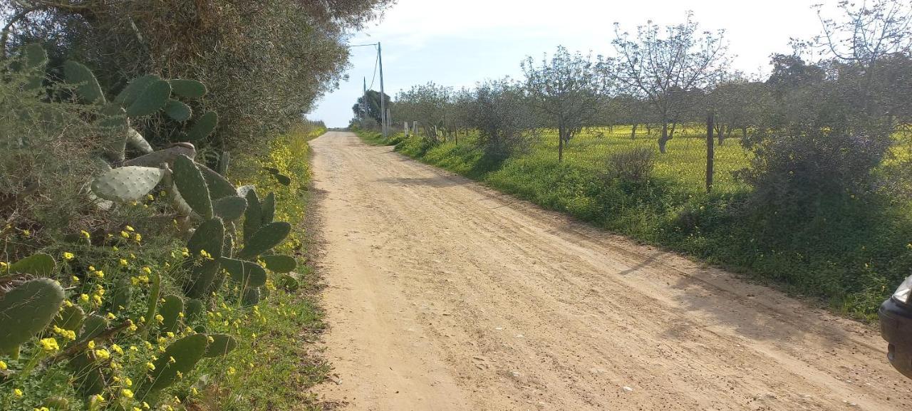 טאווירה Casa Do Pinheiro - Parque Natural Da Ria Formosa. מראה חיצוני תמונה