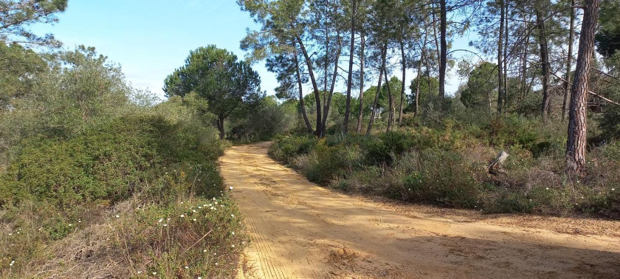 טאווירה Casa Do Pinheiro - Parque Natural Da Ria Formosa. מראה חיצוני תמונה
