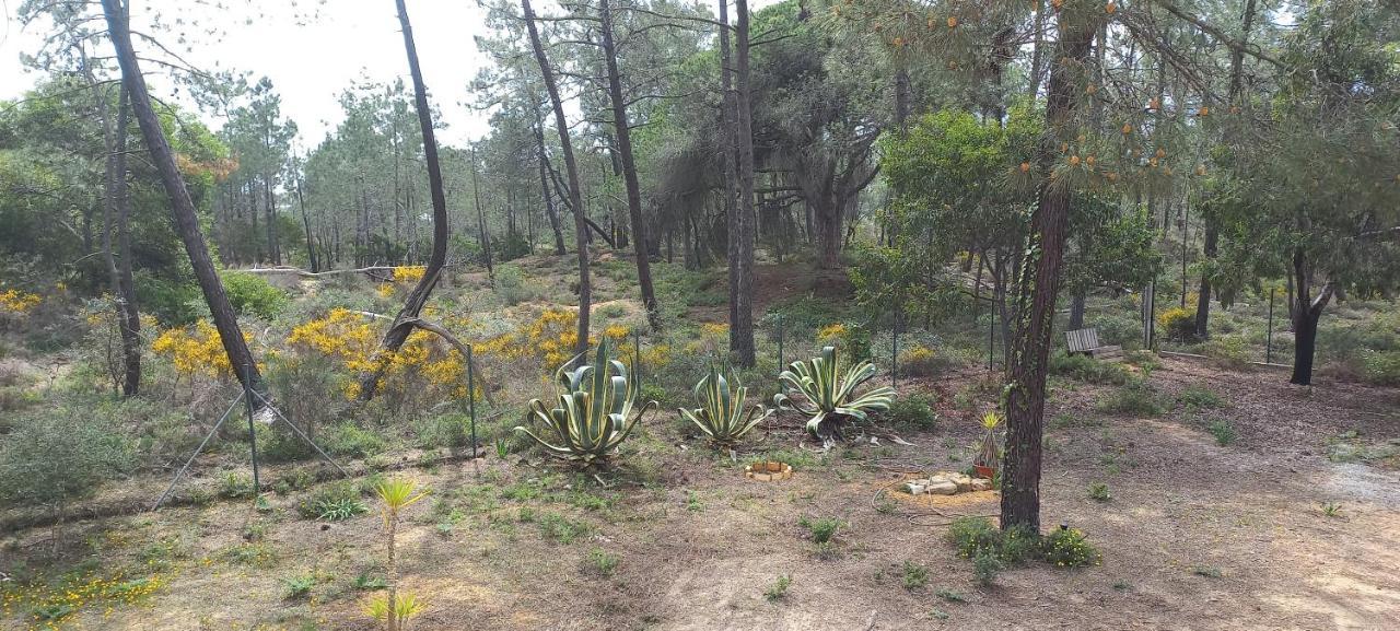 טאווירה Casa Do Pinheiro - Parque Natural Da Ria Formosa. מראה חיצוני תמונה